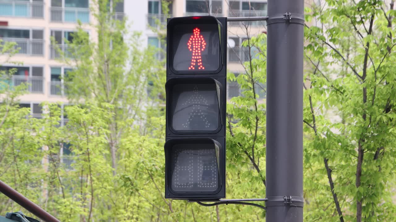 A sharp, high-quality close-up shot of a standard South Korean traffic light. The footage captures the precise moment the red 'stop' signal turns off and the green 'go' signal illuminates. The clear L