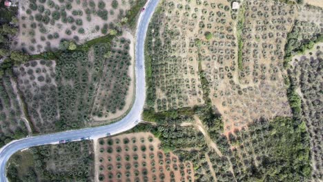 Drone-top-down-pan-across-winding-road-between-vineyard-and-olive-groves-in-the-Alpilles-mountains-of-Les-Baux-de-Provence-France