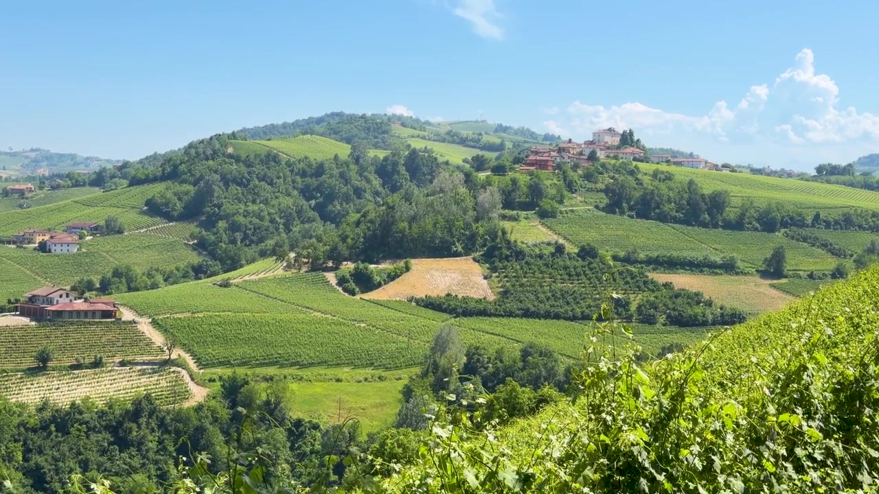 Ampia inquadratura statica di rigogliosi vigneti e colline italiane sotto un cielo azzurro e limpido.