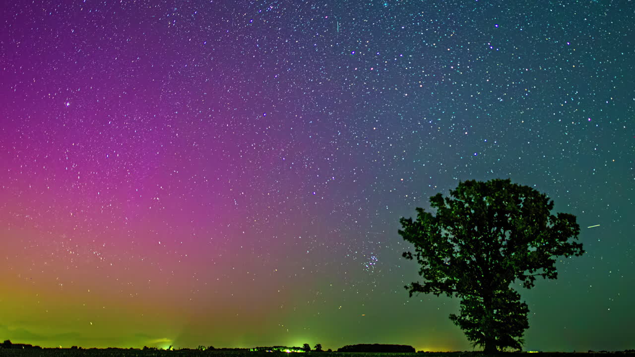 전면에 나무가 있는 다채로운 북쪽 불빛과 유성우의 타임스