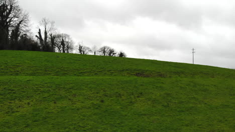 aerial - over the greenish grass hill with group of birds fly by