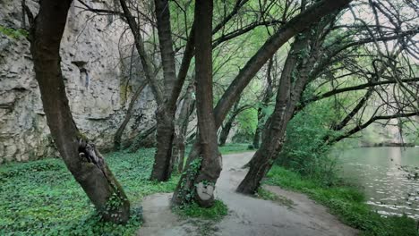 vista a través de los árboles a lo largo de la orilla del río eco trail en zlatna panega
