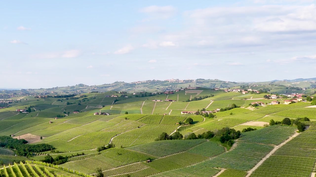 Riprese con Drone Catturano il Vasto Paesaggio Verde dei Vigneti della Regione delle Langhe in Italia