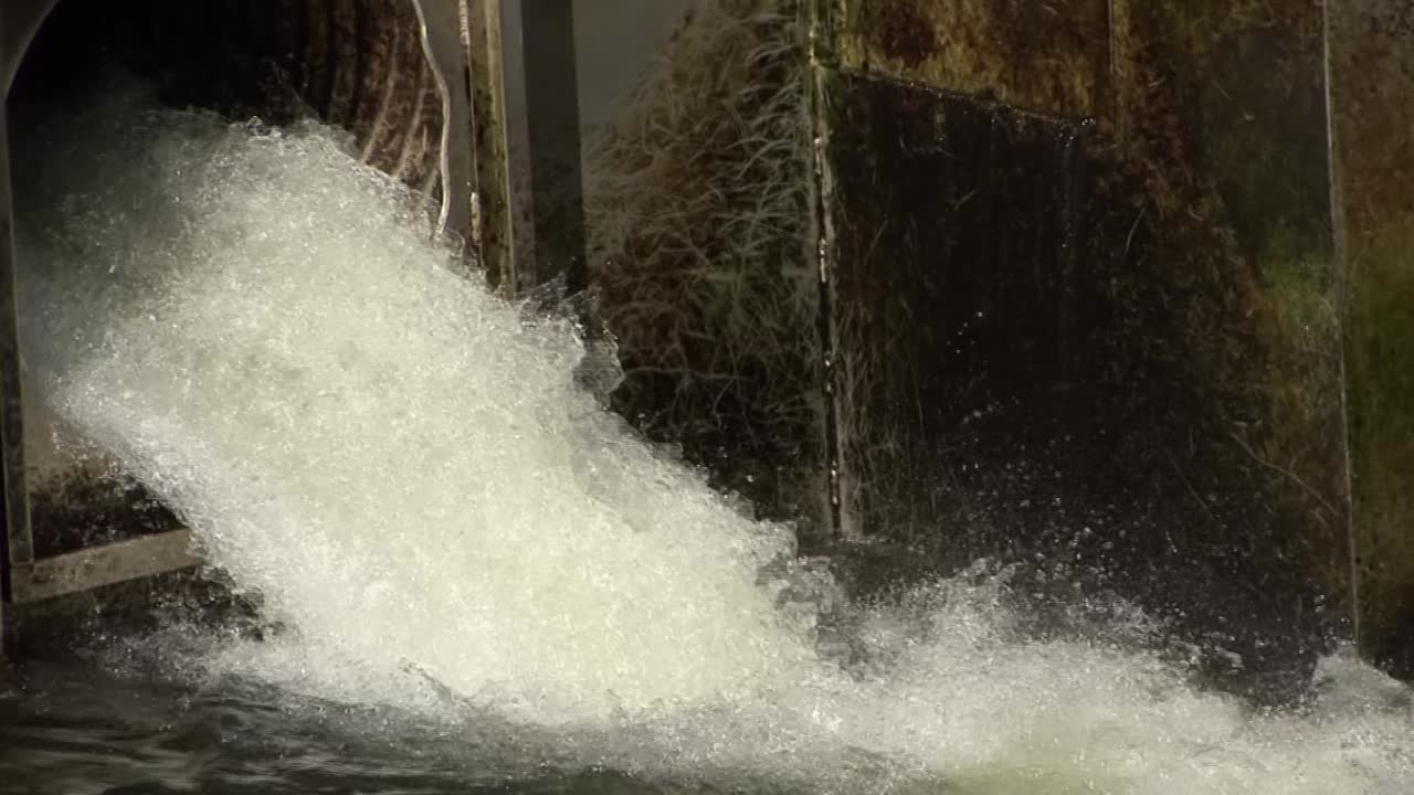 물밖으로 뛰어오르는 연어. 케치칸, 알래스카