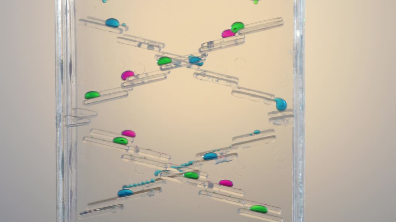 어린이와 성인 - 감각적인 장난감은 스트레스와 불안을 해소합니다. - 피 장난감을 다채로운 부 타이머로 사용할 수 있습니다.