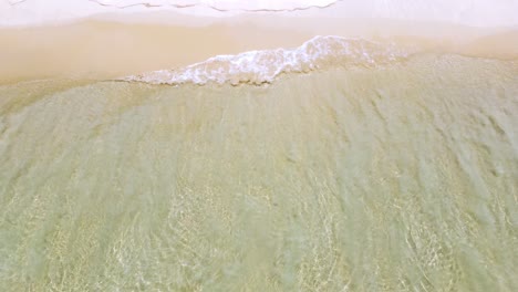 sea wave on a sandy beach