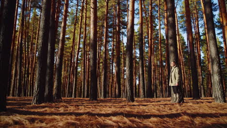 woman enjoying the tranquility of a sunlit pine forest