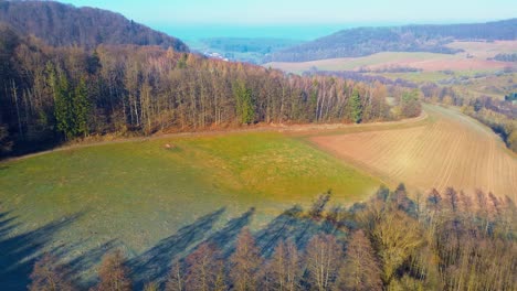 Panorama-De-Drones-De-Campos-Verdes-Que-Bordean-Un-Denso-Bosque