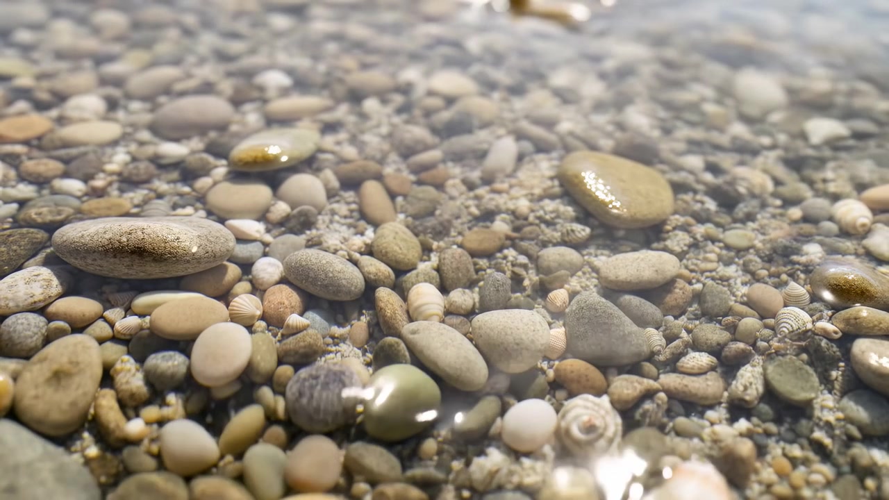 Low-angle close view of mixed rounded pebbles and small spiral shells resting beneath clear shallow shoreline water, with glossy wet surfaces, soft sunlit reflections, and calm natural texture
