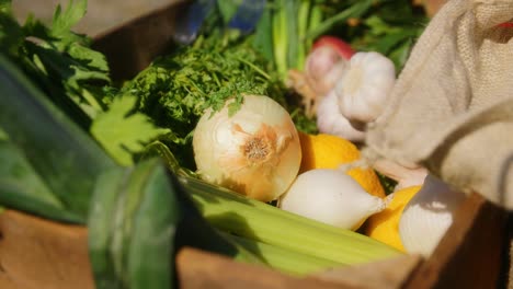 Fresh-vegetables-in-a-brown-crate-on-a-sunny-day-in-the-summer