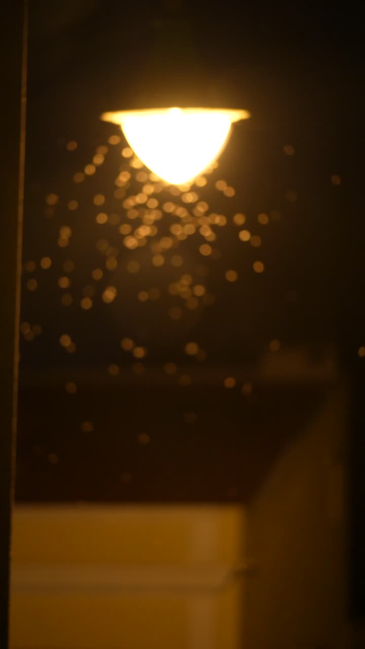 Night Street Light with Bokeh Effect