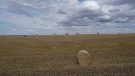 silo silage bales of hay grass in montana countryside farmland, aerial