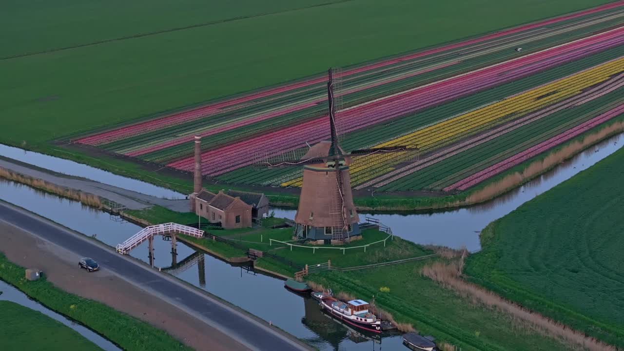 Vista aerea di tulipani in fiore e de Kaagmolen al tramonto nei Paesi Bassi