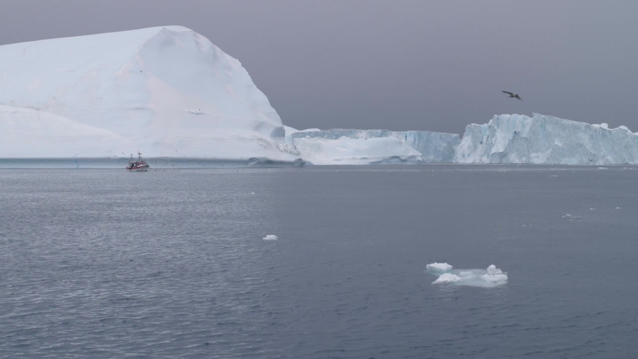 Video en cámara lenta de un barco pesquero frente a icebergs, rodeado de gaviotas, con una gaviota solitaria volando hacia el primer plano