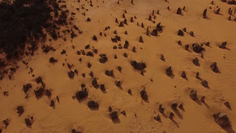 The-Pinnacles are limestone formations-within Nambung-National-Park-in-Western-Australia