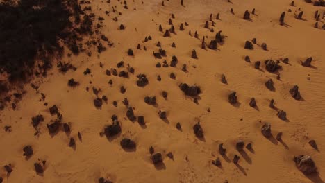 los pináculos son formaciones de piedra caliza dentro del parque nacional nambung en el oeste de australia