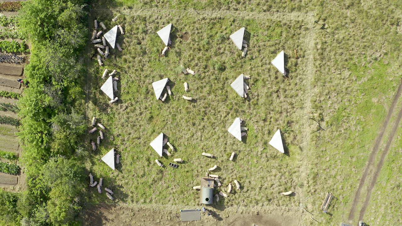 목자를 기다리고 있습니다.