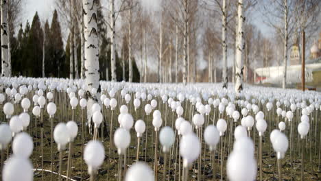 white light installations in a birch grove