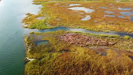 antena sobre vastos pantanos a lo largo del río nonesuch cerca de portland, maine, nueva inglaterra 3