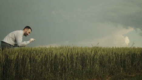 Concept-of-poisoning-cornfield-or-food,-business-man-pouring-poison-on-barley-on-field