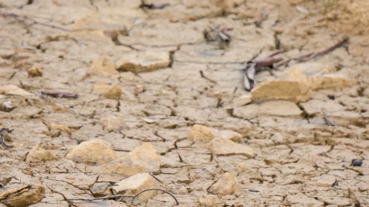 Cracked dirt with the hot sun