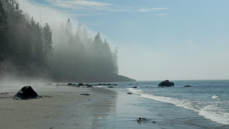 serene video of ocean fog rolling in over the forest at mystic beach, vancouver island