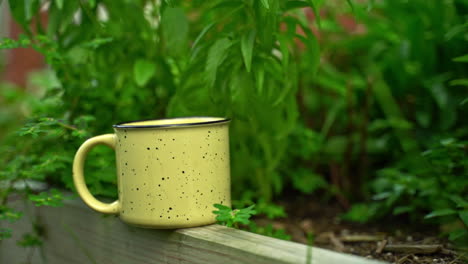 old cup of coffee sitting next to garden