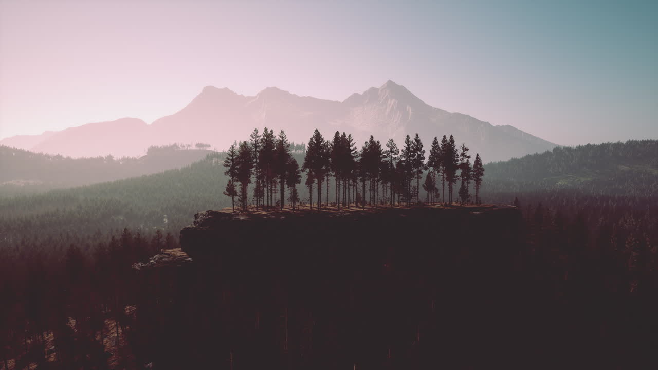 비가 내린 후 해가 지는 배경에 서늘한 소나무와 산