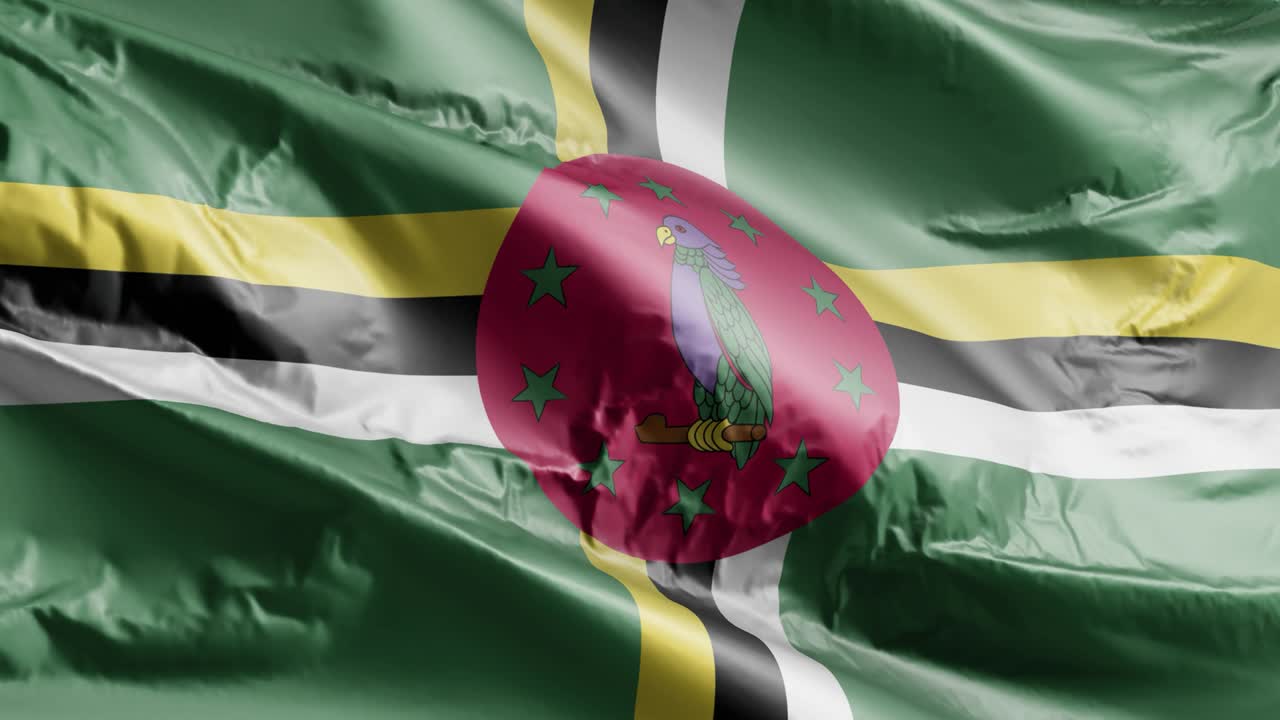 la bandera de dominica ondeando en el bucle del viento. el estandarte de dominica balanceándose en la brisa. fondo de relleno completo. bucle de 10 segundos.