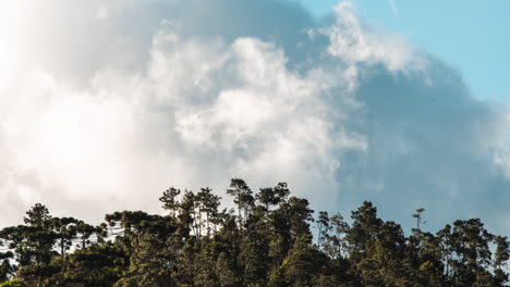 Timelapse-De-Tiro-Estrecho-De-Nubes-Formándose-Y-Moviéndose-En-El-Cielo-Por-Encima-De-Los-árboles