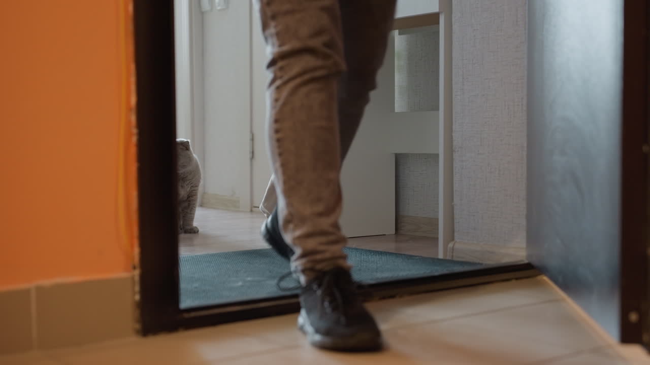 Owner And Feline Share Calm Doorstep Moment, Pet Patiently Watches Owner As Peaceful Greeting Occurs At Doorway, Cat Observes Owner Gracefully Greeting And Relaxing By Gate In Tranquil Silence