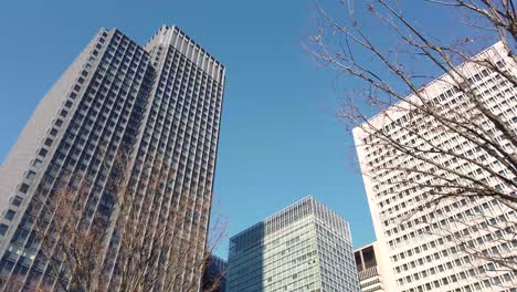 pov to the sky with many skyscraper office building in the big city