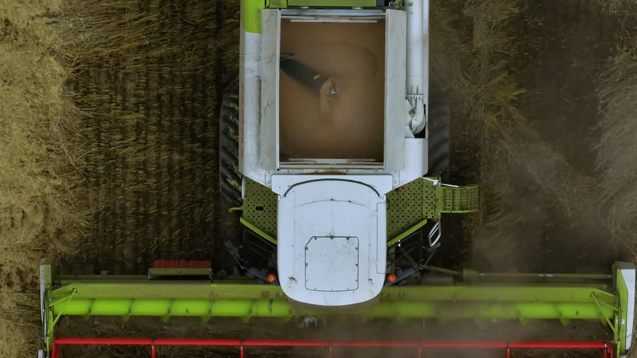 Combine Harvester Harvesting Wheat Field