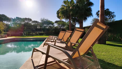 several lounge chairs aline in a pool for relaxing. a serene outdoor pool surrounded by greenery and palm trees, with several sun loungers lined up along the poolside, bathed in warm sunlight