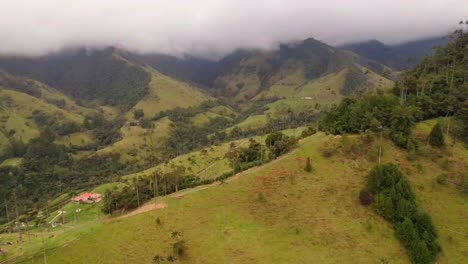 rural cocora valley with wax endemic palm trees