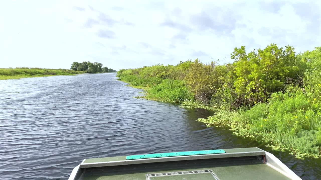 Airboat ride in a swamp in the Florida Everglades