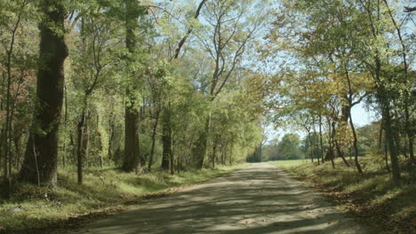 Una-Pintoresca-Carretera-Arbolada-En-Otoño