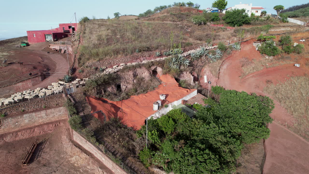 vista lateral aérea de un rebaño de ovejas blancas cruzando la entrada de un pueblo durante el día