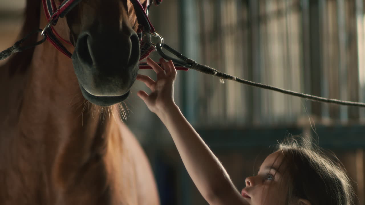 A girl interacts with a horse in a stable