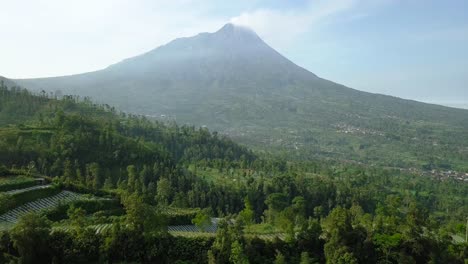 vuelo de drones hacia atrás sobre las plantaciones y los alrededores del volcán merapi en java, indonesia.