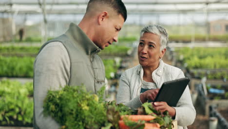 people, teamwork and tablet for greenhouse