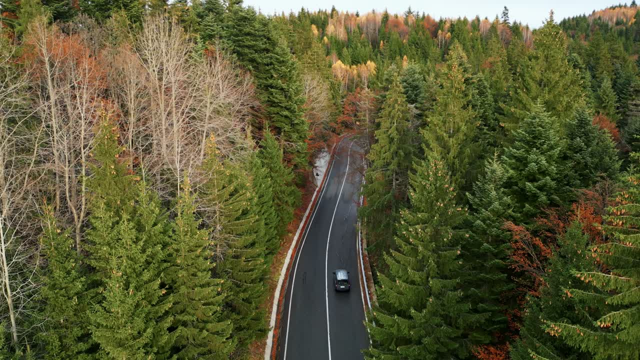 Remote Road Between Trees During Autumn Season In Romania. Aerial Drone Shot