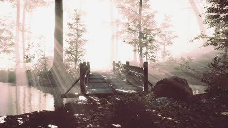 Holzstufen-Im-Wald-Verschwanden-Im-Dichten-Nebel