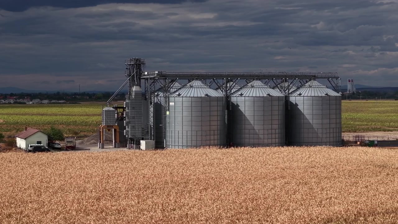 Um complexo industrial de silos de grãos fica ao lado de um campo de trigo dourado com nuvens de tempestade escuras se formando no céu dramático