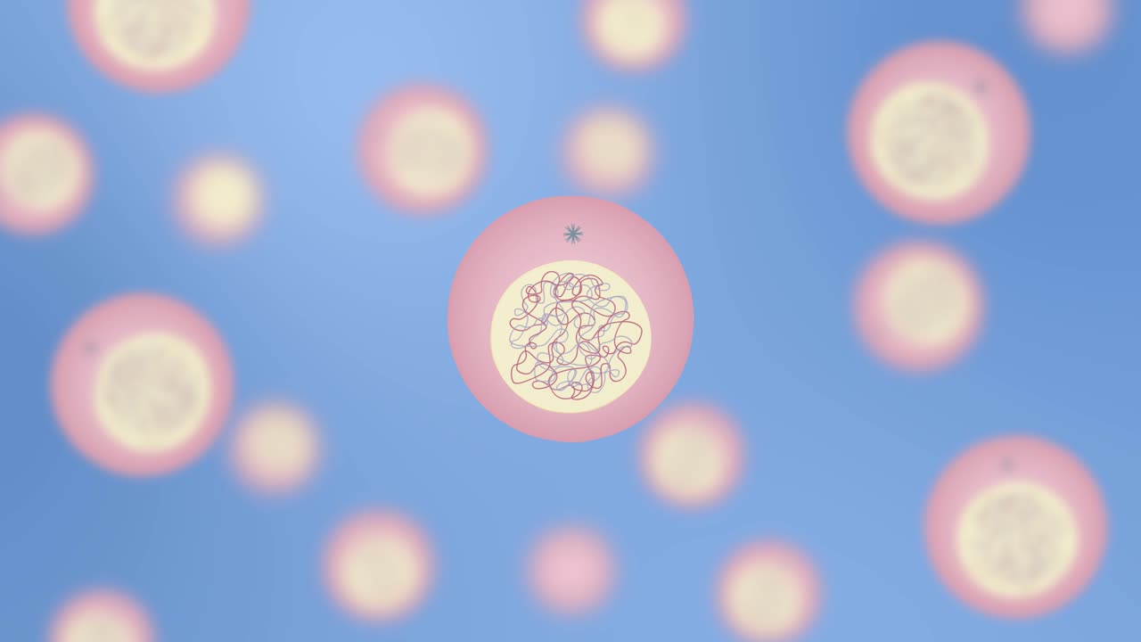 파란색 배경에서 분열하는 다채로운 세포와 함께 미토시스를 보여주는 애니메이션, 세포 분열의 단계를 강조합니다.