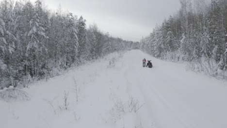 viaje en motos de nieve a través de un bosque nevado