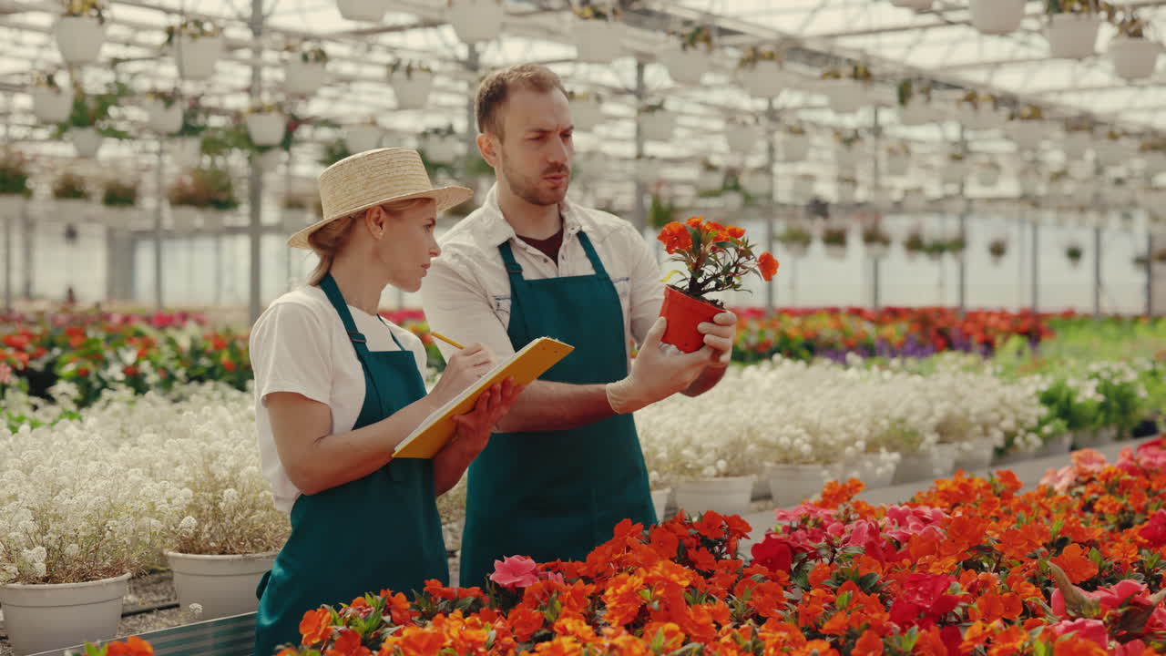 Professional Gardeners Inspecting Flowers in a Large Greenhouse