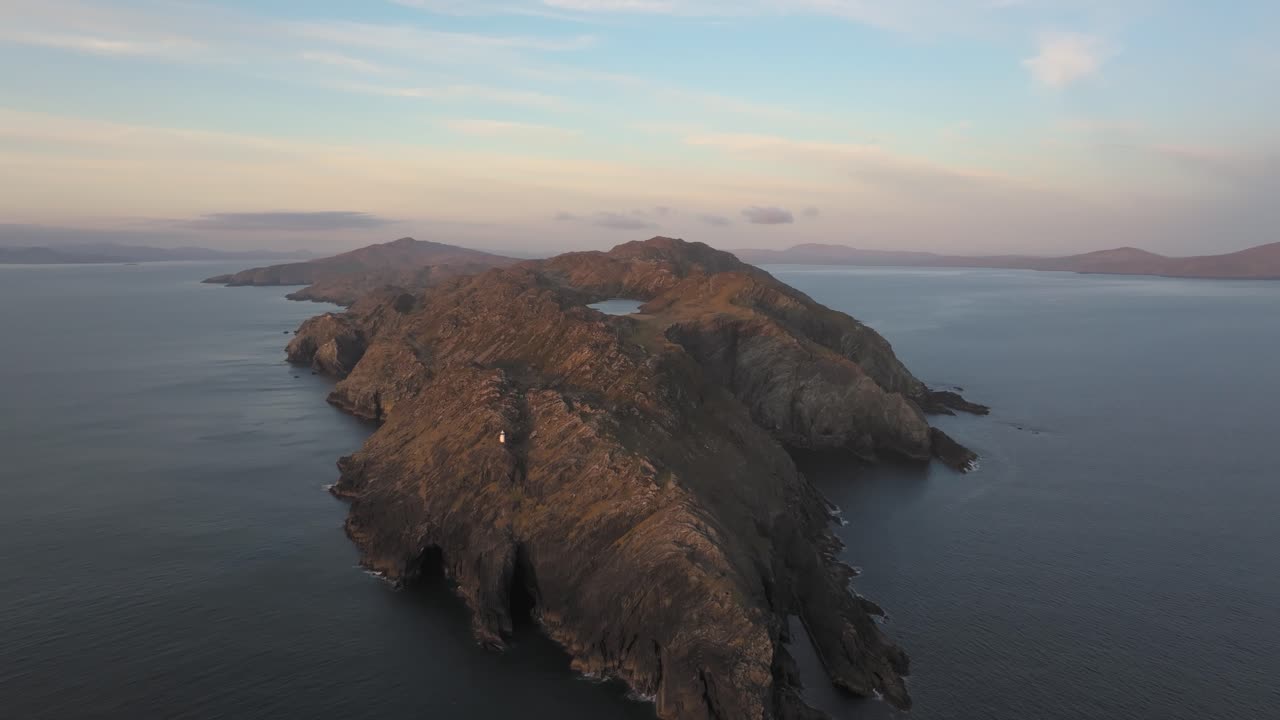 la cabeza de la oveja fue filmada por un dron aéreo de 4k.