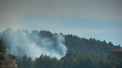 Incendio-forestal-01