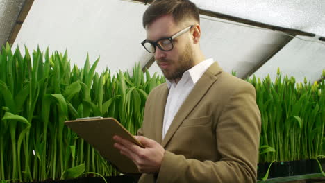 bearded businessman in glasses taking notes on tablet while choosing budding tulips for his floral business in wholesale greenhouse